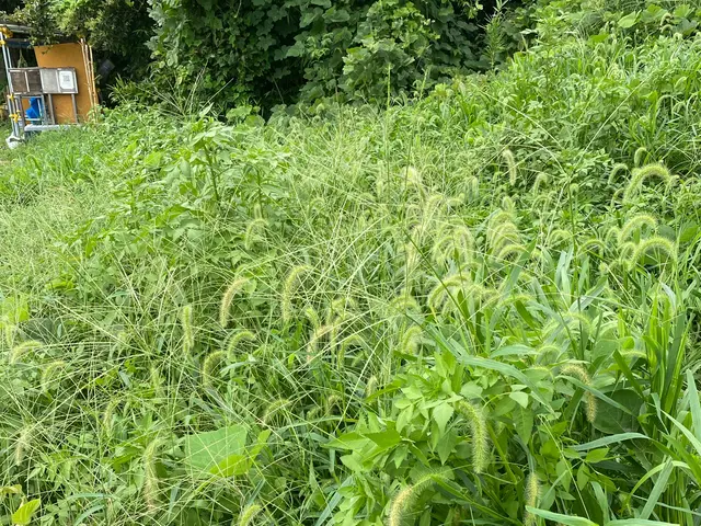 作業外注一切なし◎公共仕事での経験7年あり◎サービスの画像