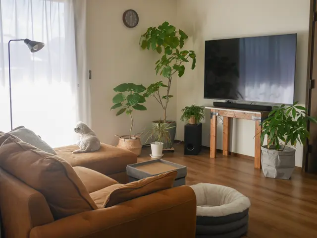 【整理収納】【埼玉県／北部、西部中心】リピート割でお家丸ごと片付け!サービスの画像