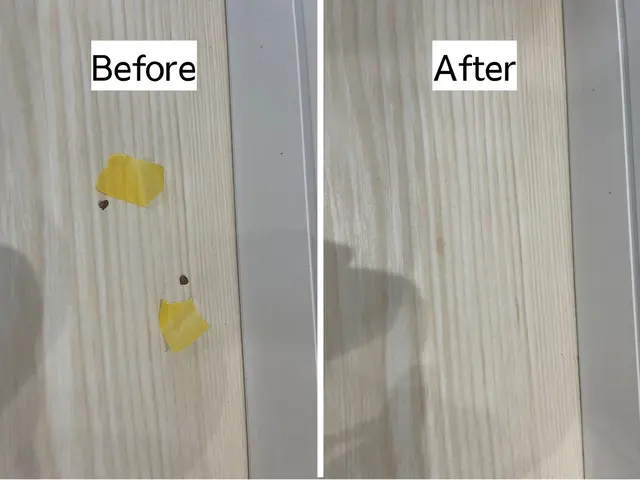 3児のママ二人が伺う！女性ならではの気配りで完璧に仕上げるサービスの画像