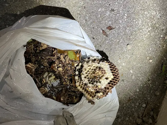 【すべて自社対応】損害保険加入済み●営業時間外でもご相談くださいサービスの画像