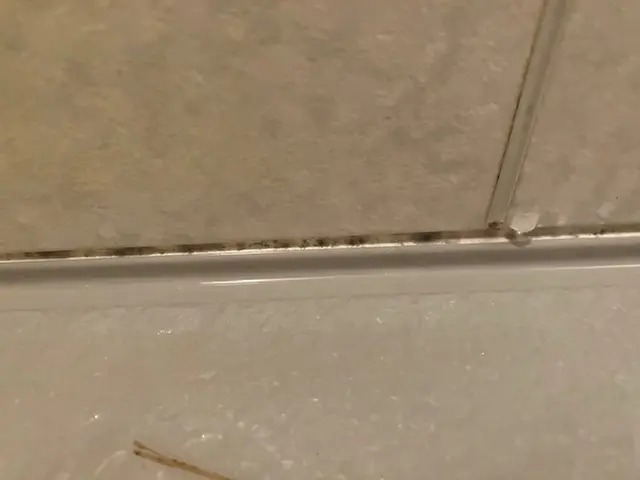 必見！オリジナルマイナスオプション有り！丁寧な作業の当店へ！女性スタッフ同行OKサービスの画像