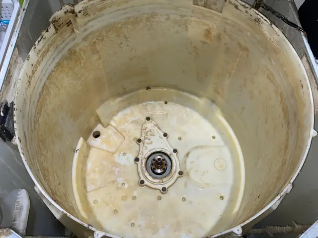 高品質な縦型洗濯槽クリーニングをご提供します！〜驚きのビフォーアフターを実現〜サービスの画像