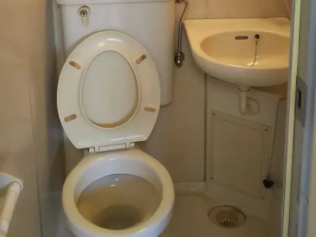 ☆★住まいに、格式ある輝きを──プレミアムハウスクリーニング☆★浴室サービスの画像