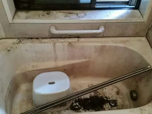 ☆★住まいに、格式ある輝きを──プレミアムハウスクリーニング☆★浴室サービスの画像