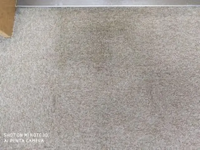 【実績25年】《保険加入有・外注なし 》エコ洗剤希望があれば対応可能です！！サービスの画像