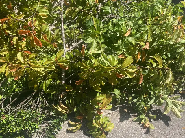 ◆年中無休◆◆自信の完全自社施工◆仕上がり保証ありサービスの画像