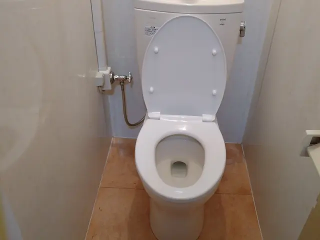 【2024年感謝！！期間限定】予約すぐにお取り致します。サービスの画像