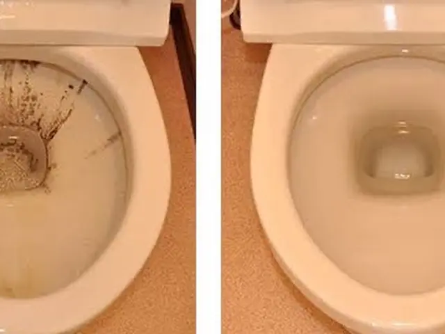 【2024年感謝！！期間限定】予約すぐにお取り致します。サービスの画像