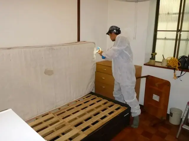 トコジラミ駆除歴10年以上の有資格者多数在籍【再発保証付】【有資格者多数在籍】サービスの画像