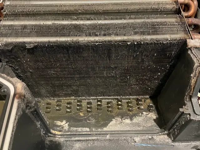 ◤ドラム式洗濯機分解洗浄◢損害保険加入済★非喫煙者★臭い・乾燥機能改善★サービスの画像