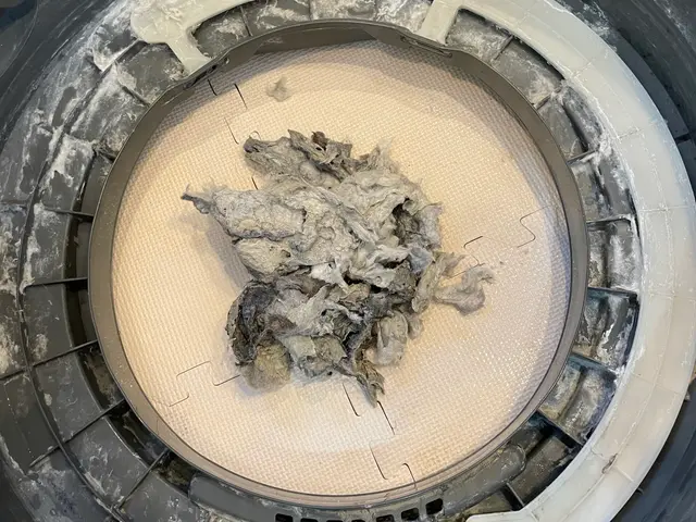 ◤ドラム式洗濯機分解洗浄◢損害保険加入済★非喫煙者★臭い・乾燥機能改善★サービスの画像