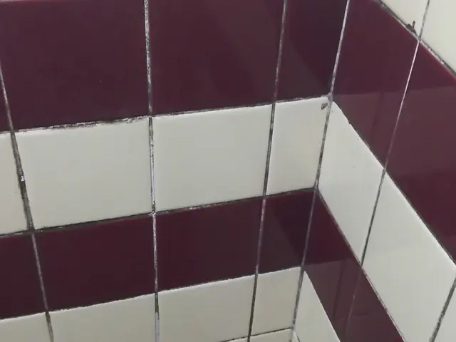 カビ・水垢・鏡のウロコ・もらいサビまで徹底除去致します！！サービスの画像