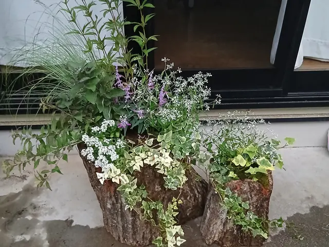 ～継続して選ばれる仕事をご提供～　★初めてのご依頼はお問合せからが簡単ですサービスの画像