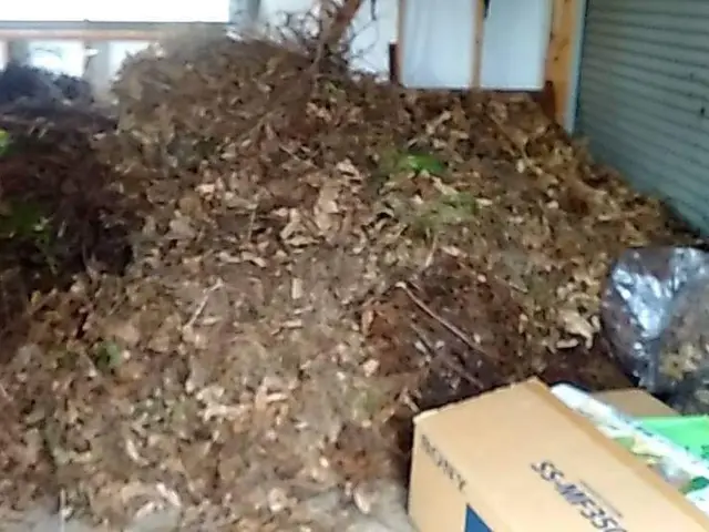 【 落ち葉清掃 】　※岩手県全域対応(対象地域外は交通費等別途。)サービスの画像