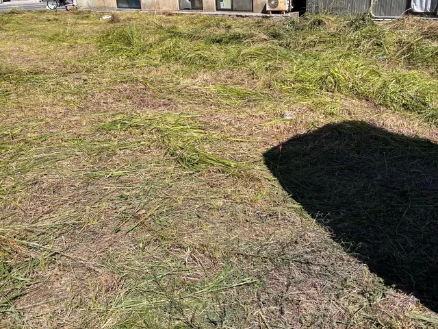 お家の草刈りお任せください！サービスの画像