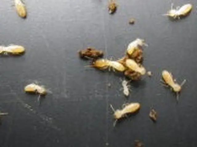 【損保加入・完全自社施工で安心安全】土日祝も対応・クレジットカード使用可能◎サービスの画像