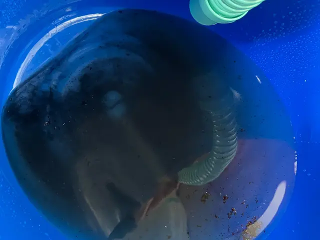 【秋のキャンペーン】2台目割引！！お子様・ペットにも優しいエコ洗剤使用《川口発》サービスの画像