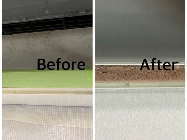 【秋のキャンペーン】2台目割引！！お子様・ペットにも優しいエコ洗剤使用《川口発》サービスの画像