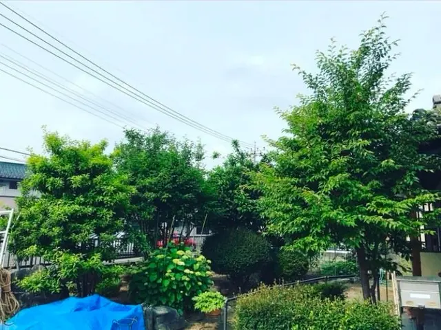 【損害保険加入！】安全・丁寧な作業を心がけております！！サービスの画像