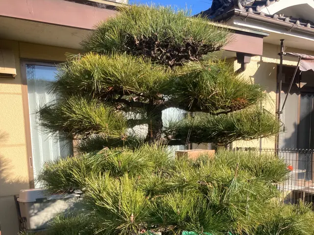 【損害保険加入！】安全・丁寧な作業を心がけております！！サービスの画像