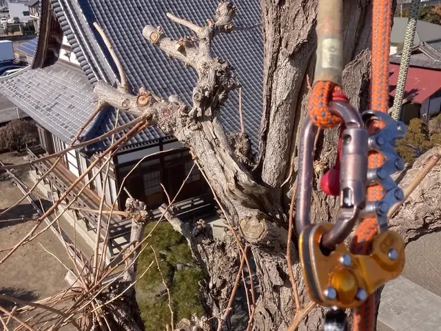 【損害保険加入！】安全・丁寧な作業を心がけております！！サービスの画像