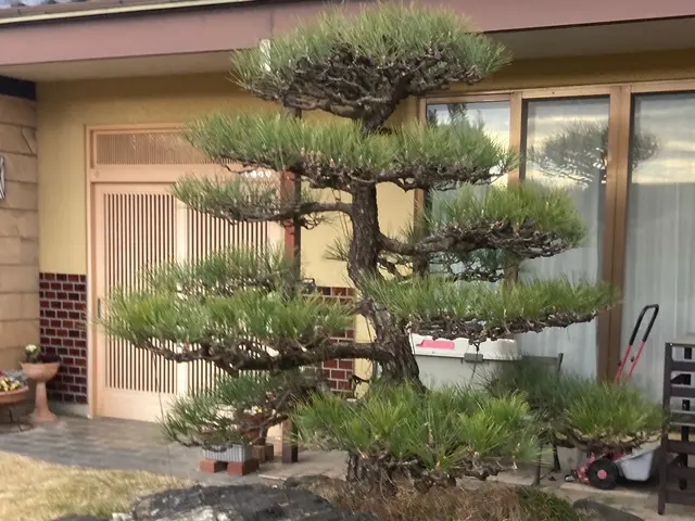 【損害保険加入！】安全・丁寧な作業を心がけております！！サービスの画像