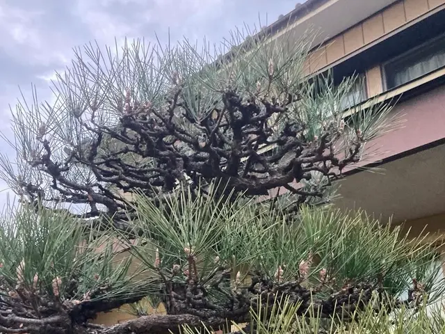 【損害保険加入！】安全・丁寧な作業を心がけております！！サービスの画像