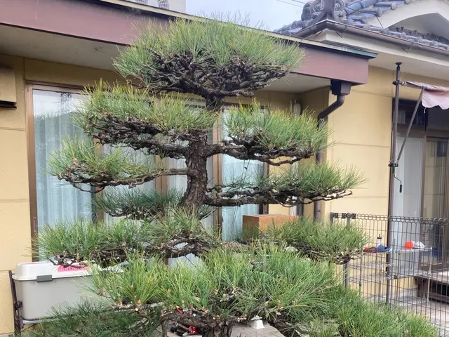 【損害保険加入！】安全・丁寧な作業を心がけております！！サービスの画像