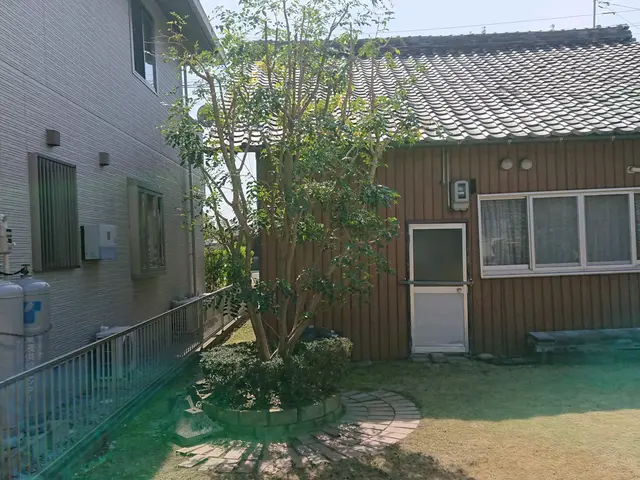 【そよ風に揺れる自然風剪定】木漏れ日がさし枝葉が揺れる、明るいお庭にしませんか？サービスの画像