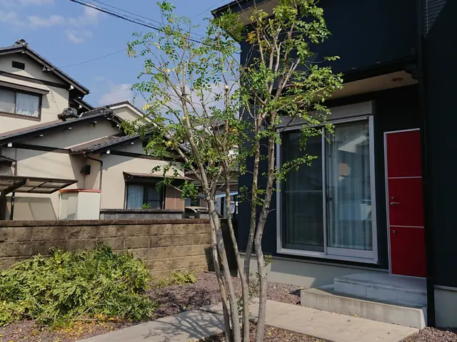 【そよ風に揺れる自然風剪定】木漏れ日がさし枝葉が揺れる、明るいお庭にしませんか？サービスの画像