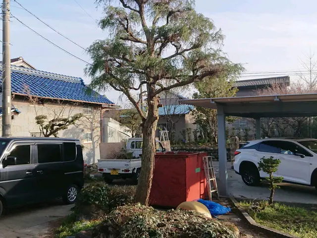 【そよ風に揺れる自然風剪定】木漏れ日がさし枝葉が揺れる、明るいお庭にしませんか？サービスの画像