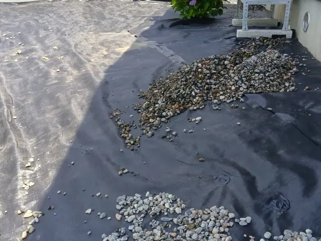 ロックガーデン用の石、家周り砂利、ホームセンターで買うより格安で施工まで致しますサービスの画像