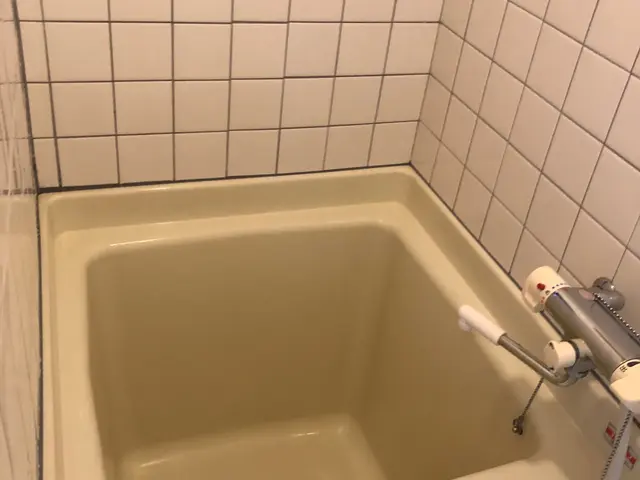 【完全自社】綺麗なお風呂で1日の疲れを取りませんか？サービスの画像