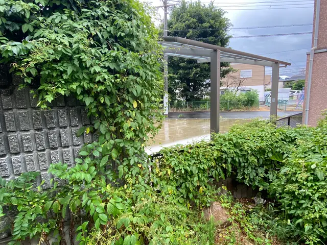 20年の経験◎庭木の美しさを引き出すプロの技◆サービスの画像