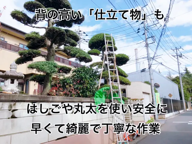 『椿山荘の元専任庭師』予約の取れない名店？年始よりご予約可能ですサービスの画像