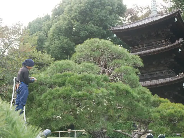 『椿山荘の元専任庭師』予約の取れない名店？年始よりご予約可能ですサービスの画像