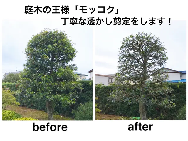 『椿山荘の元専任庭師』予約の取れない名店？年始よりご予約可能ですサービスの画像