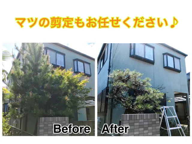 『椿山荘の元専任庭師』予約の取れない名店？年始よりご予約可能ですサービスの画像