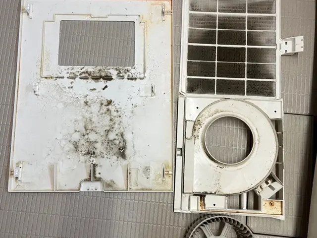 【実はその汚れ取れるんです！】石鹸カス、天井のカビ、鏡の白い汚れなど！サービスの画像