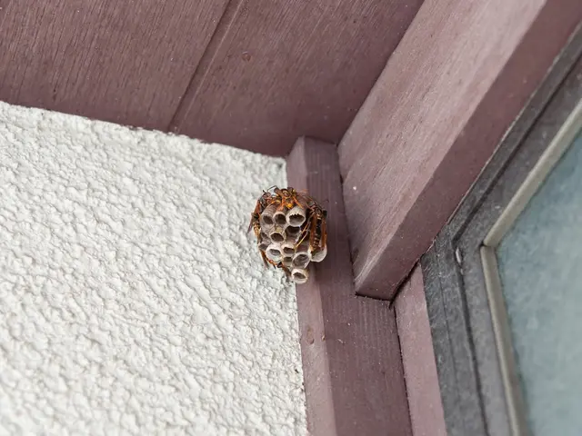 ◎地域密着店◎年中無休◎営業時間外も対応可◎アフターフォローも万全サービスの画像