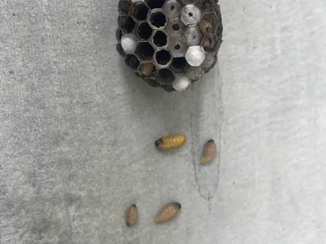 ◎地域密着店◎年中無休◎営業時間外も対応可◎アフターフォローも万全サービスの画像