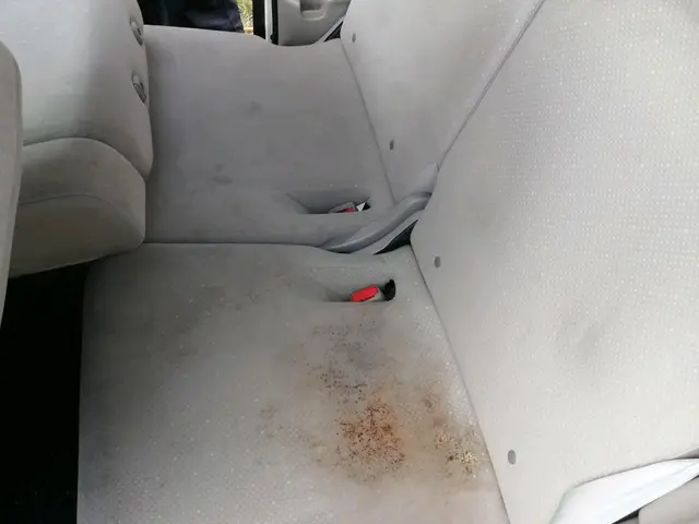 お子様や肌にも安心☆無害なアルカリ電解水や重曹、セスキソーダなどの洗剤を使用☆サービスの画像