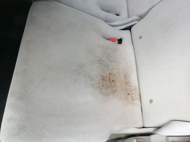 お子様や肌にも安心☆無害なアルカリ電解水や重曹、セスキソーダなどの洗剤を使用☆サービスの画像