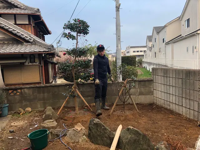 植木.庭木の植え替えサービスの画像