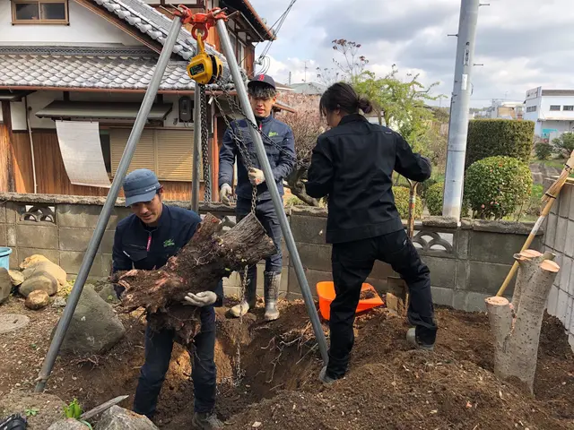 植木.庭木の植え替えサービスの画像
