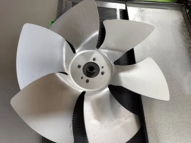 ◆お子様やペットに優しいエコ洗剤使用◆ハウスクリーニング士取得◆サービスの画像