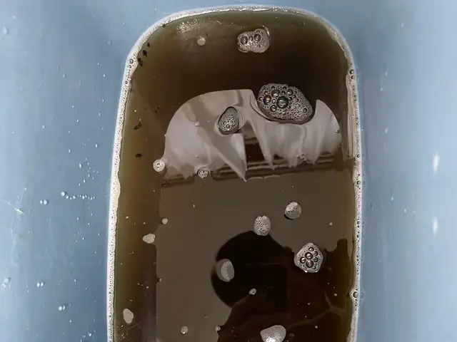 10年の介護経験を活かした、心に寄り添う丁寧なクリーニングサービスの画像