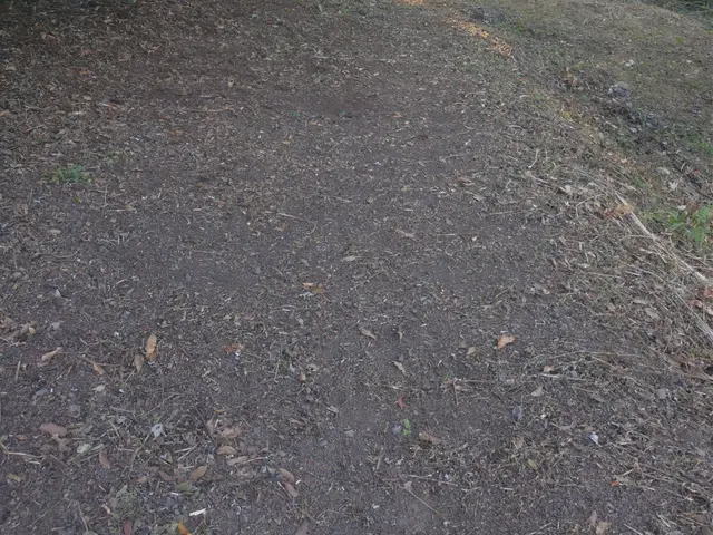 【年中無休で営業】早朝・夜間の作業OK！親切対応・丁寧に作業いたします◯サービスの画像