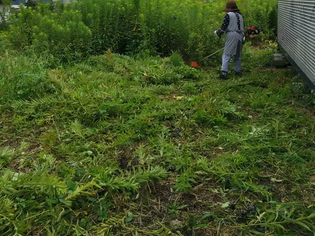 【年中無休で営業】早朝・夜間の作業OK！親切対応・丁寧に作業いたします◯サービスの画像