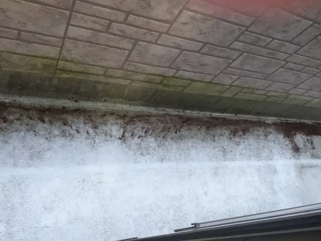 瞬殺ベランダ清掃FTSTサービスの画像